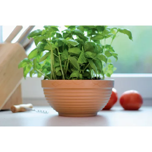 Virágcserép 02 Misa - Terrakotta – Virágcserepek, virágládák