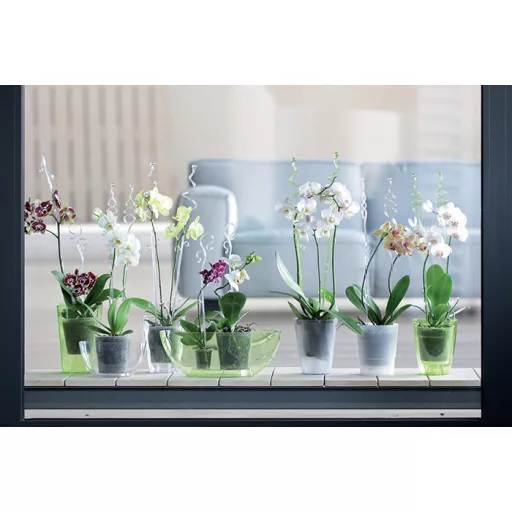 Orchideatámasz 01 Coubi - Pink – Növénytámaszok