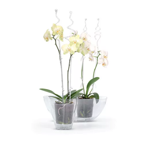 Orchideatámasz 01 Coubi - Zöld