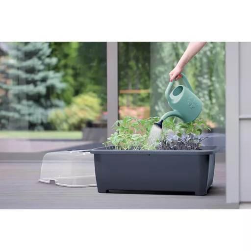 Locsolókanna 2 Koni - Zsálya – Locsolókannák