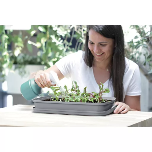 Növénypermetező Spray 12 - Zsálya