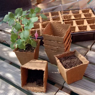 GROWING POTS tőzegcserép 8 x 8 cm, natúr – Palántázás