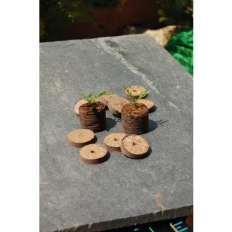 COCO-TAB kókusz ültetőkorong Ø 4 cm, natúr – Palántázás