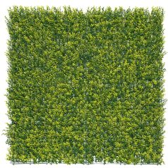 VERTICAL BUXUS zöldfal buxus levelekkel 1 x 1 m, zöld