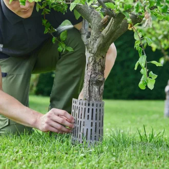 tree-trunk-guard-fatorzsvedo-szurke