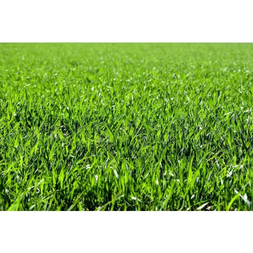 agrecol-100-napos-gyeptragya-1-5kg