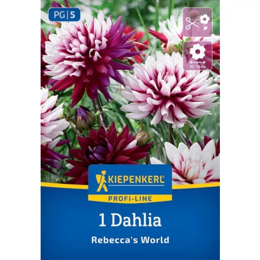 Dahlia Rebecca's World tarka lila dália virág
