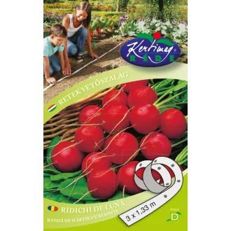 Rédei Vetőszalag Retek óriás vaj – Palántázás