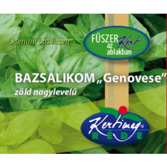 fuszernovenynevelo-keszlet-bazsalikom