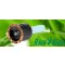 12h-180-fokos-fuvoka-rainbird