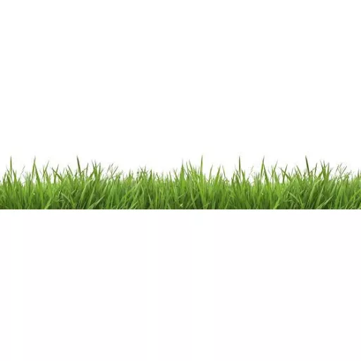 agrecol-starter-gyeptragya-5kg