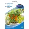 Rédei Paprika, Hamik, cserepes, törpe 0,25g (Vetőmag)
