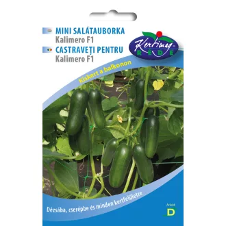 Rédei Salátauborka Kalimero, baby 10 szem (Vetőmag)