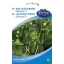 Rédei Salátauborka Kalimero, baby 10 szem (Vetőmag) – Palántázás