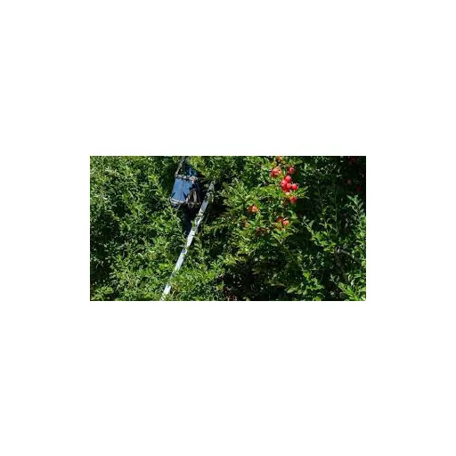 agrecol-granulalt-csirke-marha-2l