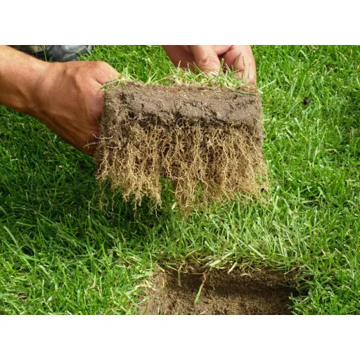 agrecol-100-napos-gyeptragya-5kg