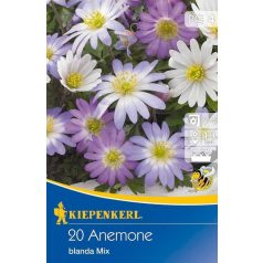 Anemone blanda Mix (KP)