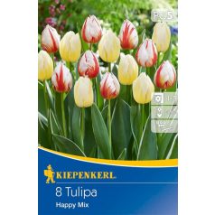 Triumph tulipán Happy Mix (KP)