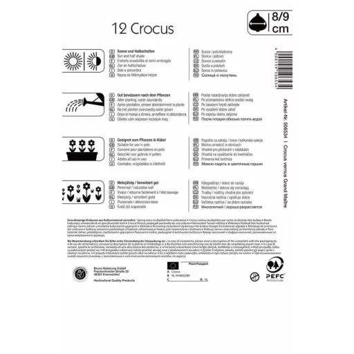 Nagyvirágú krókusz Grand Maitre/Blau 12 dsb/csomag (Virághagyma) (KP)