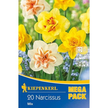 Mega-Pack Nárcisz teltvirágú színkeverék (KP)