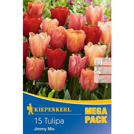 Mega-Pack Tulipán Jimmy Mix (KP)