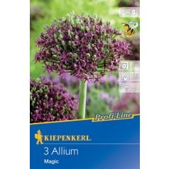 Allium Magic (KP)