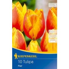 Korai egyszerű virágú tulipán Flair (KP)