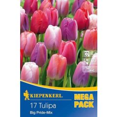 Mega-Pack Tulipán Big Pride Mix (KP)