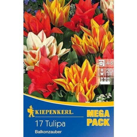 Mega-Pack Tulipán Balkonzaubaubermix (KP)