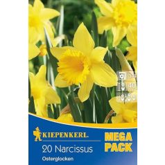 Mega-Pack Nárcisz Osterglocken (KP)