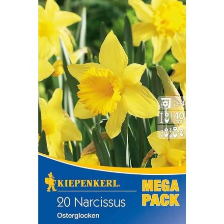 Mega-Pack Nárcisz Osterglocken (KP)