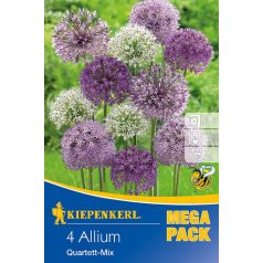 Mega-Pack Allium Quartett nagyvirágú keverék (KP)