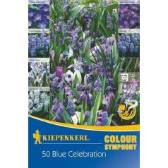   Colour Symphony 'Blue Celebration' (Muscari-Scilla-Anemone-krókusz-Chinodoxa-Puschkinia, lila-fehér) (KP)