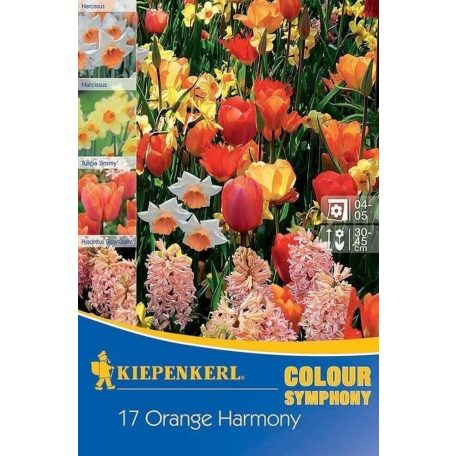 Colour Symphony 'Orange Harmony'(nárcisz-tulipán-jácint, narancssárga-sárga) (KP)