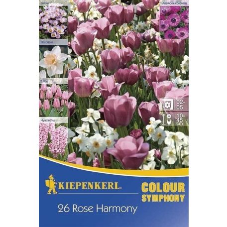 Colour Symphony 'Rose Harmony' (jácint-tulipán-nárcisz-krókusz-szellőrózsa, rózsaszín) (KP)