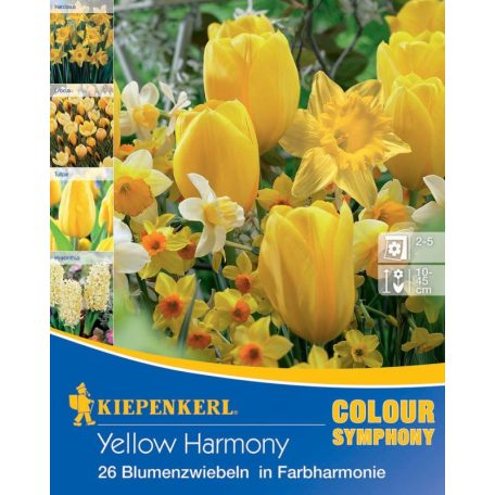 "Colour Symphony 'Yellow Harmony' (nárcisz-jácint-tulipán-krókusz, sárga)"