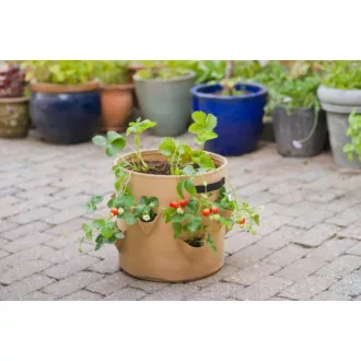 Termesztőzsák szamócának - nem szőtt PET 400 g/m², bézs, 35xØ35cm – Palántázás