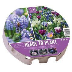   Biodiverzitás - ültetésre kész virághagyma csomag plant-o-mat tálca XL Ø 38cm - 45 db