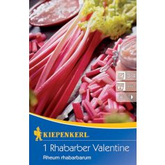 Rebarbara Rhabarber Valentine KP