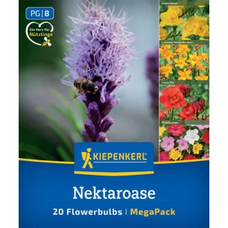   Colour Symphony Nektár-oázis (Nektaroase) Incarvillea delavayi, Mirabilis jalapa, Freesia (piros és sárga), Crocosmia, Liatris  20 db/ csomag(KP)