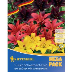 Mega-Pack Lilium Lilien Mix (KP)