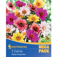 Mega-Pack Dahlia Happy Single Mix (KP)