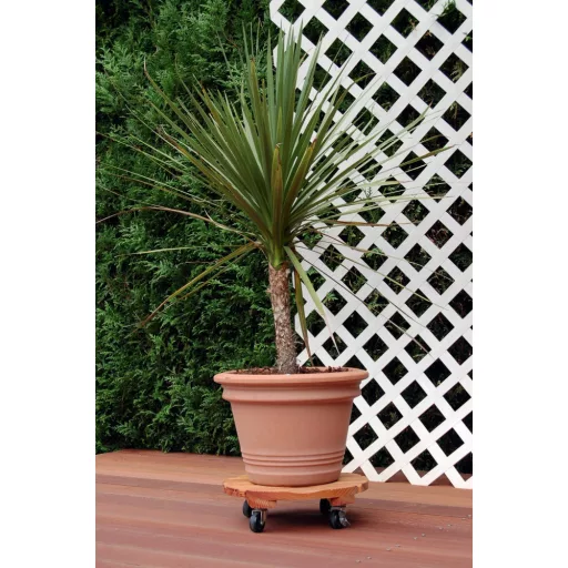 Flora roll lasure lakkozott keményfa virágalátét – átmérő 40cm – Virágcserepek, virágládák