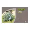 PEACOCK színes pávafigura fémből zöld27x8x56cm – Dekoráció - egész évben
