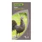 PICOTI kakas figura barna 34x19x47cm – Dekoráció - egész évben