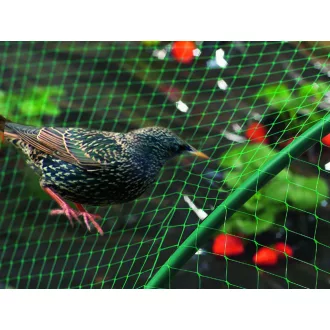 BIRDNET madárháló