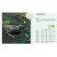 BIRDNET HDPE extrudált madárháló rombusz szemformájú zöld 2x50m – Vakond-, rovar-, szúnyog-. madárhálók