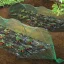 BIRDNET HDPE extrudált madárháló rombusz szemformájú zöld 4x50m – Vakond-, rovar-, szúnyog-. madárhálók
