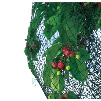 pronet-szott-madarhalo-5x6m