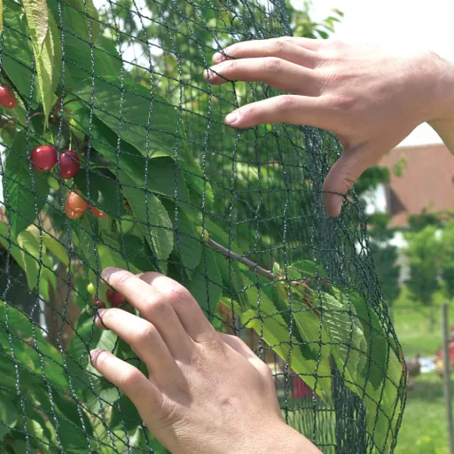 PRONET PE szőtt madárháló zöld/fekete 5x6m – Vakond-, rovar-, szúnyog-. madárhálók